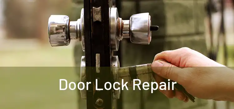 Door Lock Repair 